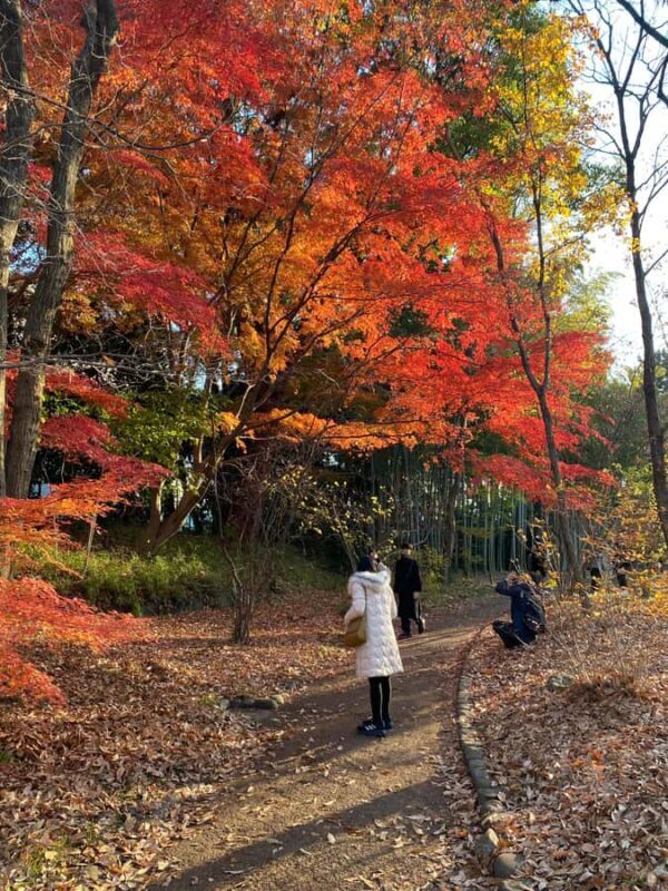 Imperial Palace Walking Tour:The Shoguns,the Imperial Family - Final Thoughts