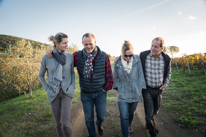 In a Carriage Among the Vineyards, Visit of the Cellar, Tasting of Organic Wines. - Activity Details