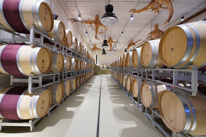 In a Carriage Among the Vineyards, Visit of the Cellar, Tasting of Organic Wines. - Traveler Photos