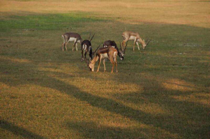 In Agra: Private Akbars Tomb, Mariams Tomb & Gurdwara Tour - FAQ