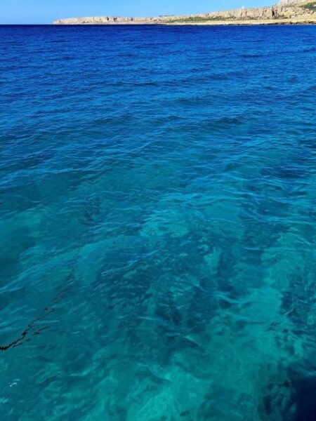 In Catamaran to Reserve Zingaro and Faraglioni Scopello - The Sum Up