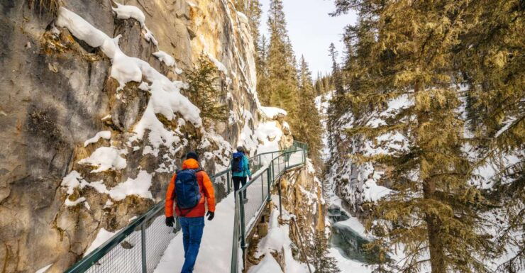 In-Depth Banff Area & Canyon Day Tour From Calgary or Banff - Transportation Options