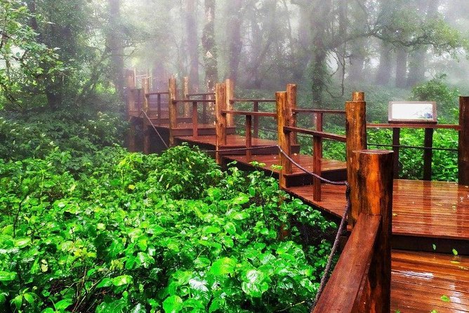 In English: Private Day Trip to Doi Inthanon (Hikes and Tours) - The Sum Up