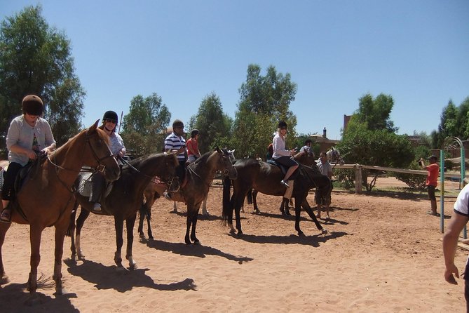 In Marrakesch :Horses Ride Experience - Meeting and Pickup Information