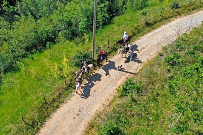 In Paraty: Horseback Riding - Activity Overview