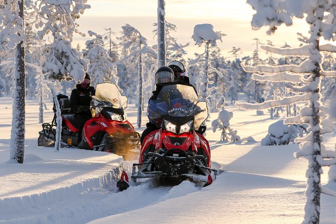 In Pursuit of Reindeer - Snowmobile Safari to Reindeer Farm in Rovaniemi - What To Expect