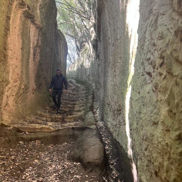 In the Footstep of the Etruscans: Hike & Wine Tasting - Background