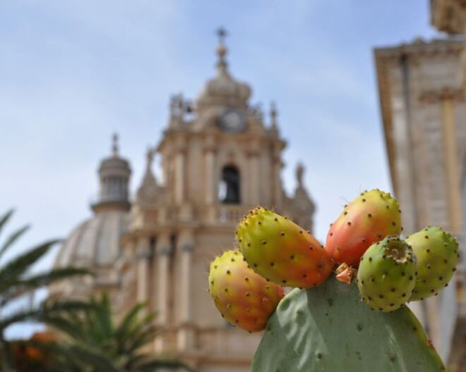 In the Places of Montalbano - Tour Directions