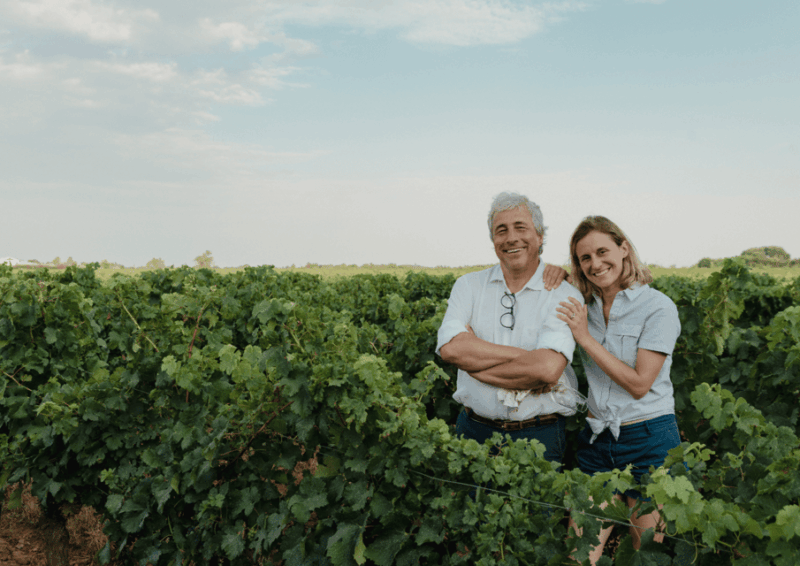 In the Skin of a Winemaker - Vineyards Teeming With Biodiversity