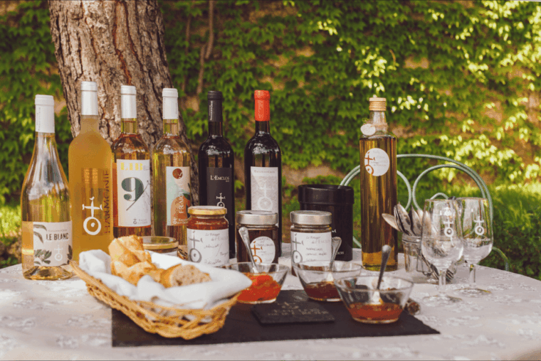 In the Skin of a Winemaker - Unveiling the Winemaking Process