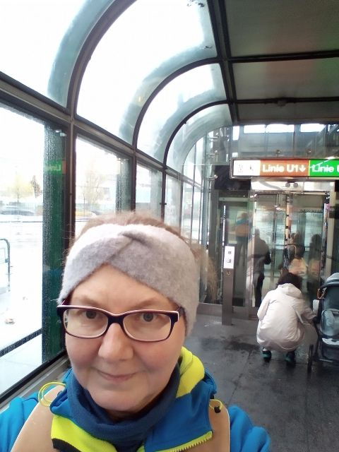 In Vienna Like a Viennese: by Public Transport & Walking - Exploring Viennas Architectural Gems