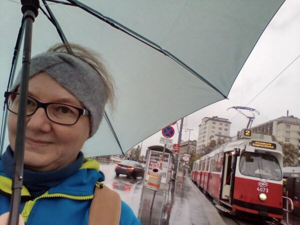 In Vienna Like a Viennese: by Public Transport & Walking - Common Questions