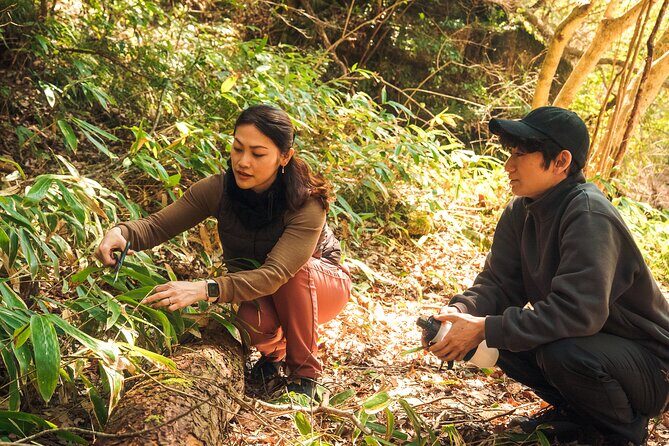 Inaka food and Ebike tour in Yuki - The Sum Up