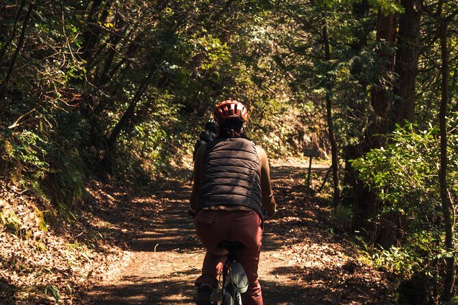 Inaka food and Ebike tour in Yuki - Final Thoughts