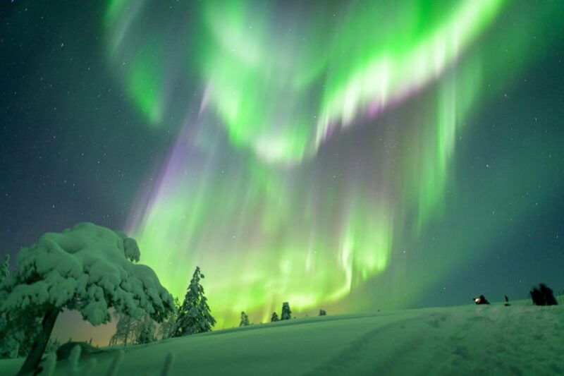 Inari: Northern Lights Hunt Snowmobile Safari - The Itinerary & What to Expect