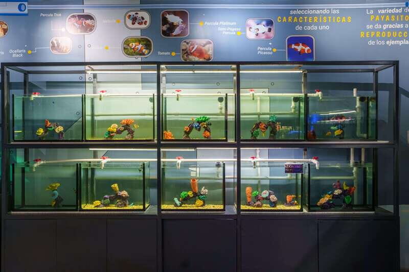 Inbursa Aquarium Entry Ticket with VR Option - How Does It Compare in Value?