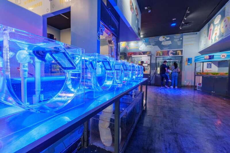 Inbursa Aquarium Entry Ticket with VR Option - Authentic Experiences from Reviewers