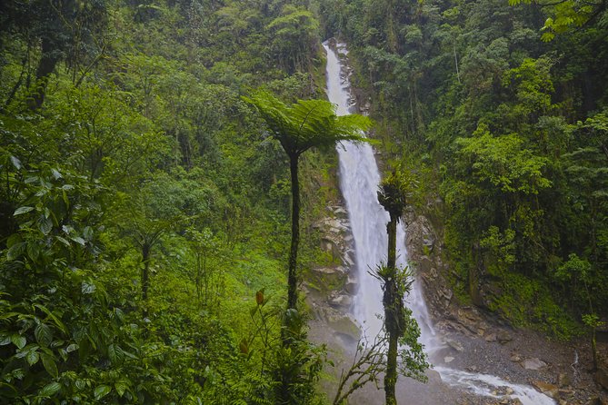 Inca Amazon to Machu Picchu 4D - 3N - Transportation and Logistics