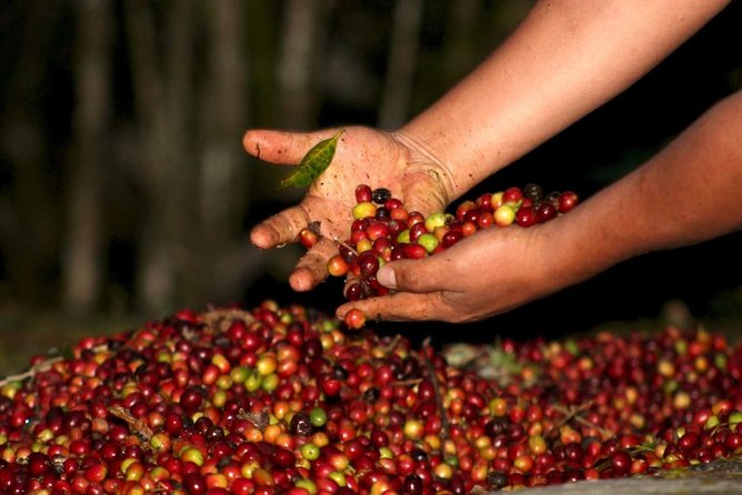 Inca Amazon to Machu Picchu 4D - 3N - Inclusions