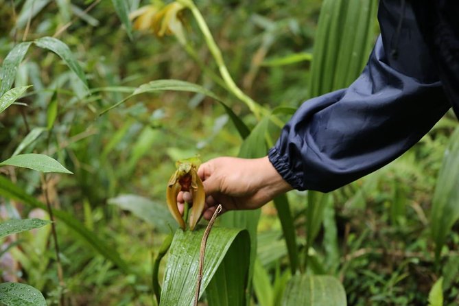 Inca Amazon to Machu Picchu 4D - 3N - Directions