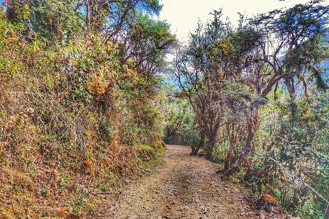 Inca Jungle to Machu Picchu 4 Days - Tour Highlights