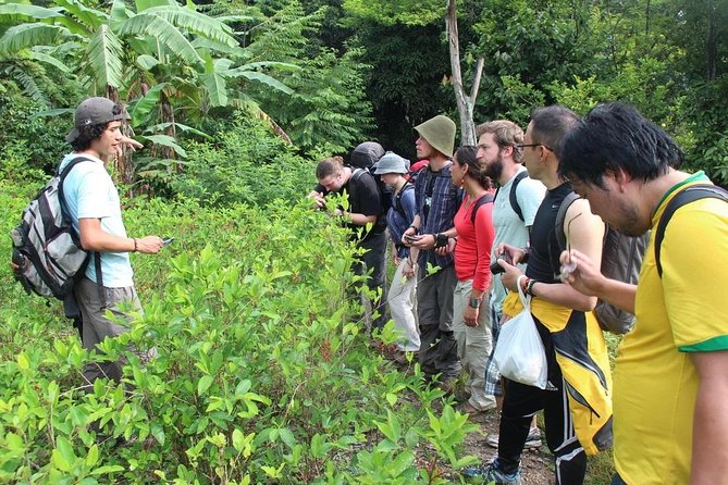 Inca Jungle Tour to Machu Picchu 4D - 3N - Traveler Photos and Reviews