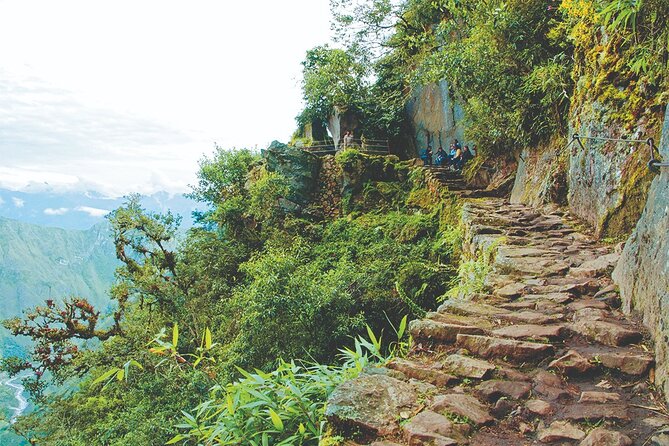 Inca Jungle Trail to Machu Picchu in 4 Days - Tour Details