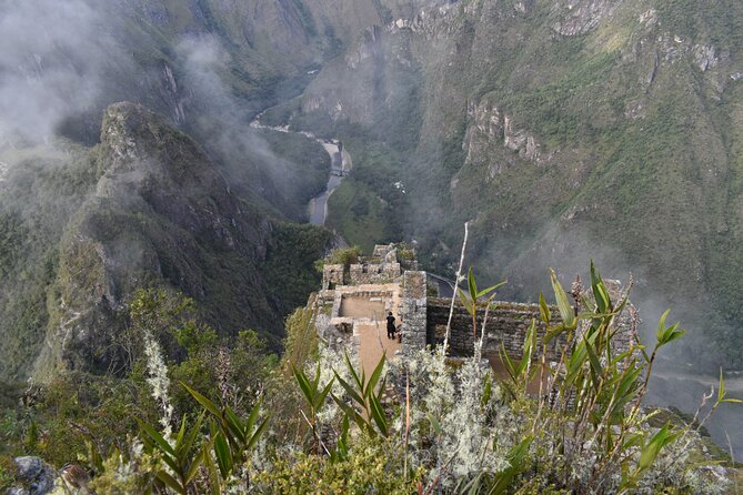 Inca Jungle Trail to Machupicchu by Lorenzo Expeditions - Common Questions