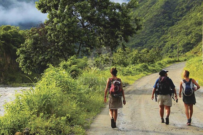 Inca Jungle Trek to Machu Picchu - Tips for a Successful Trekking Experience