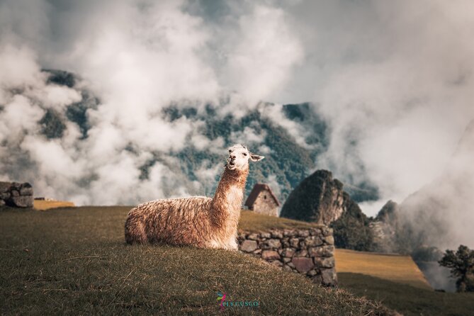 Inca Trail: 2-Day Machu Picchu and Waynapicchu Optional - Common Questions