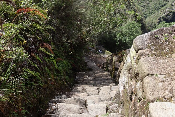 Inca Trail 4 Days to Machu Picchu - Reviews and Overall Rating