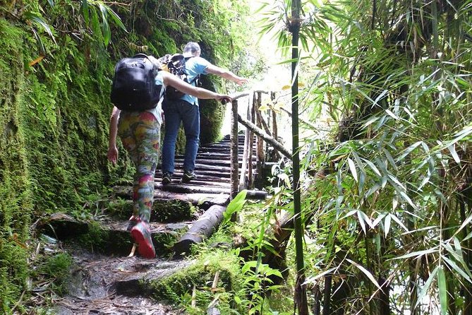 Inca Trail Adventure: 2-Day Hike to Machu Picchu - Train to Kilometer 104