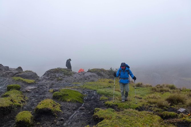 Inca Trail Cajas National Park Tour From Cuenca - Tour Overview