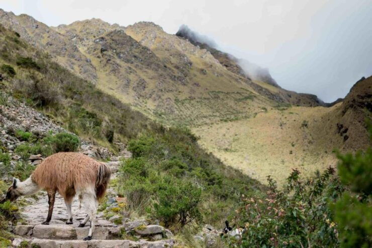 Inca Trail to Machu Picchu (4 Days) - Reserve & Payment Options