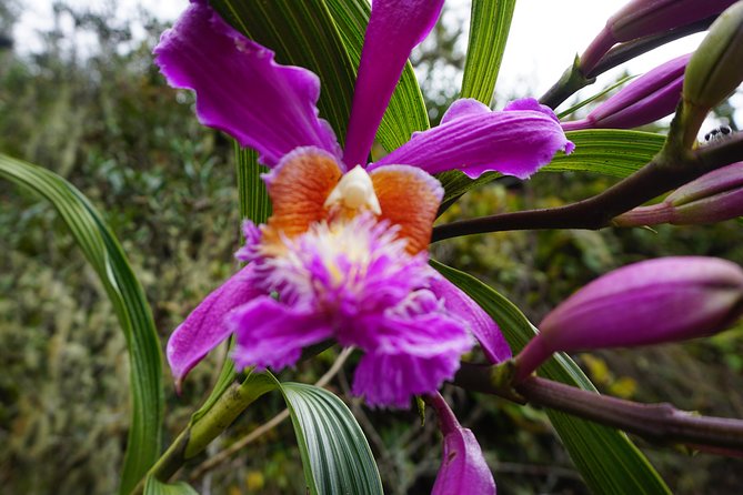 Inca Trail to Machu Picchu - One Day! - Glamping Service - Whats Included