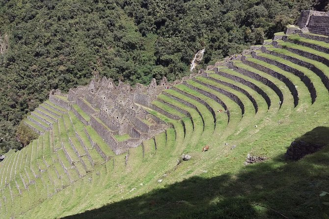 Inca Trail Trek 2 Days / 1 Night - Reviews