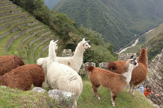 Inca Trail Trek 2 Days / 1 Night - Questions and Additional Information