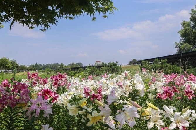 Incheon Airport Pickup (Max. 12) - USD 15 P/P - Common Questions