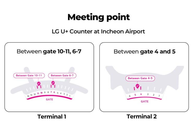 Incheon Airport: Traveler SIM & T-money Transportation Card - Experience