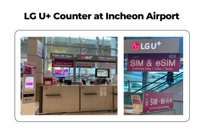 Incheon Airport: Traveler SIM & T-money Transportation Card - Inclusions