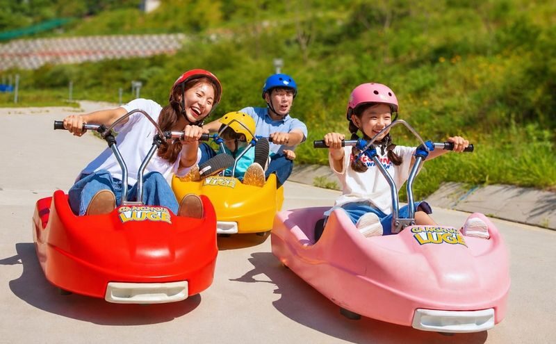 Incheon Day Tour from Seoul: Ganghwado Luge, Railbike, Seagull Ferry - The quick take: pick your day before you pick your price