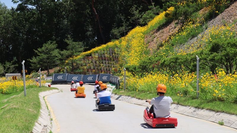 Incheon Day Tour from Seoul: Ganghwado Luge, Railbike, Seagull Ferry - Key points to know before you book
