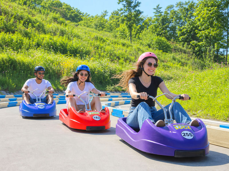 Incheon Day Tour: Luge, Railbike & Ferry with Seagull Feeding - The day in a nutshell