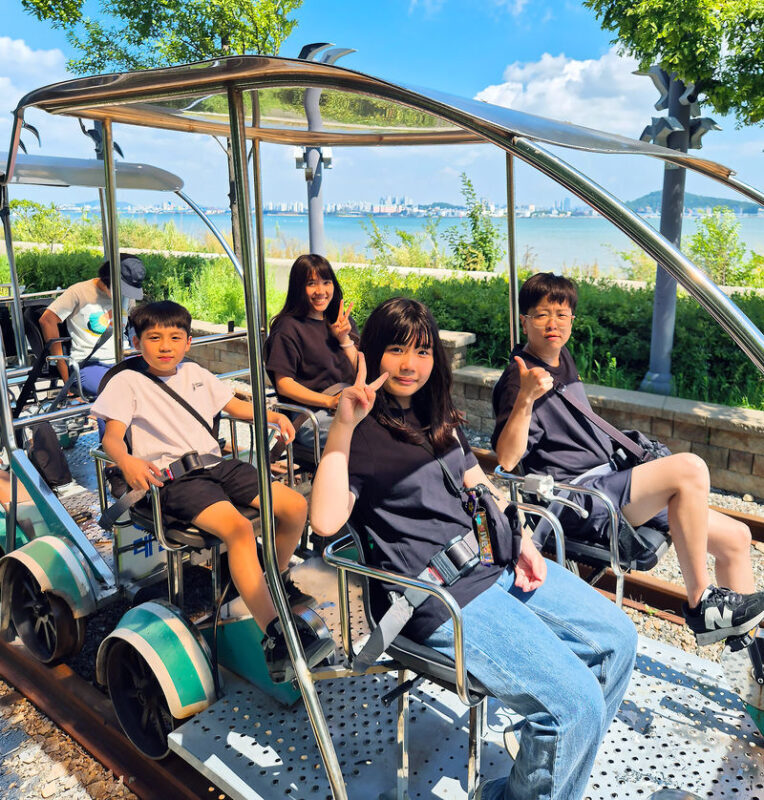 Incheon Day Tour: Luge, Railbike & Ferry with Seagull Feeding - Chinatown and the old port: a pause for food and street scenes