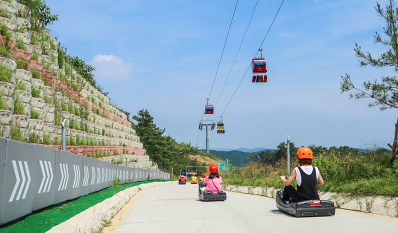 Incheon Day Tour: Luge, Railbike & Ferry with Seagull Feeding - Guides, transport and the pace of the day