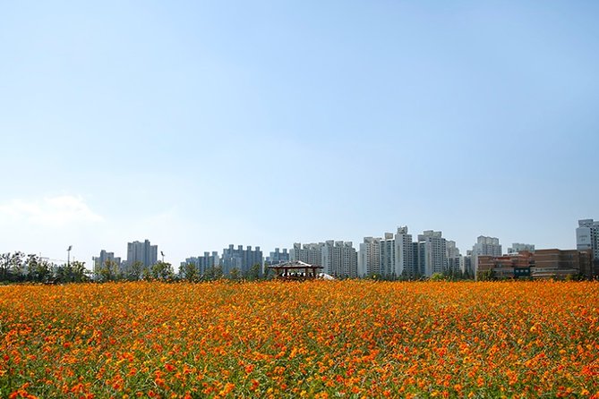 Incheon Full-Day Sunset and Sea Food Tour - Additional Information