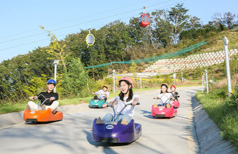 Incheon Ganghwa Luge, Rail Bike & Seagull Feeding Day Tour - A day built around motion, not museums