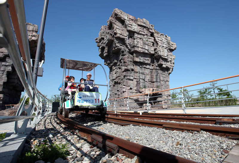 Incheon Ganghwa Luge, Rail Bike & Seagull Feeding Day Tour - Five attractions in a day, with a guide to keep things moving