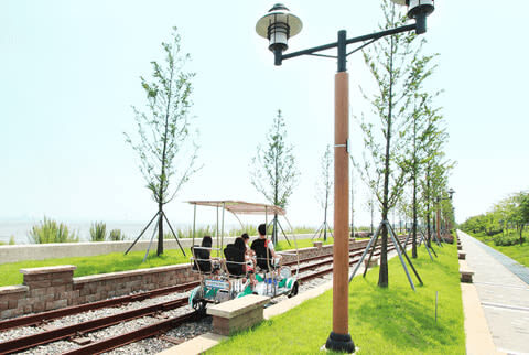 Incheon Ganghwa Luge, Rail Bike & Seagull Feeding Day Tour - Minibus transport makes the day simpler