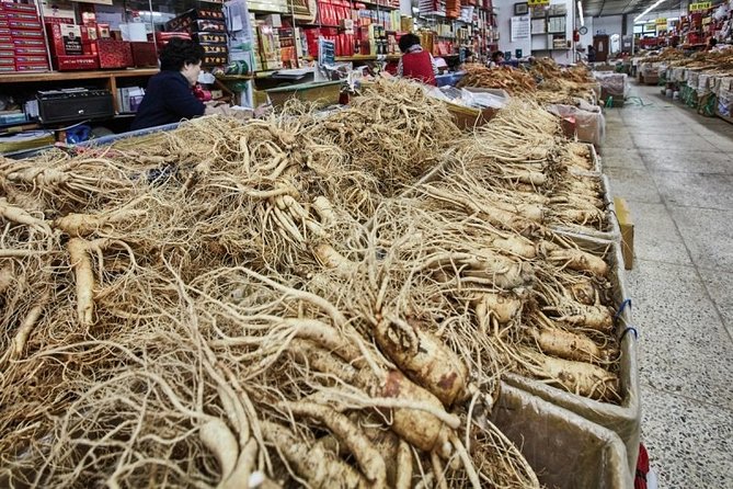 Incheon Ganghwado Island Peace 1 Day Tour(from Seoul) by Trippose - Insurance and Liability Information